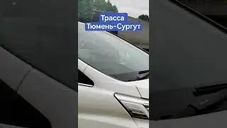 Трасса Тюмень-Сургут