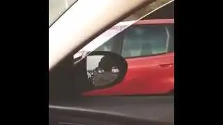 Distracted Much???
