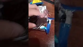 oreo chocolate milk