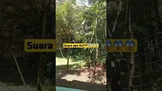 #reel #reels #reelsvideo #shortvideo #shortsvideo