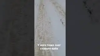 снег