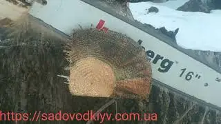 Обзор на цепь и шину камберг