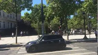 IMG 1241