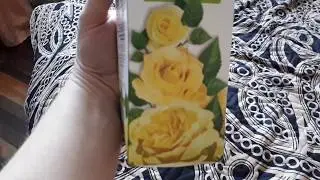 Покупка саженцев и луковиц