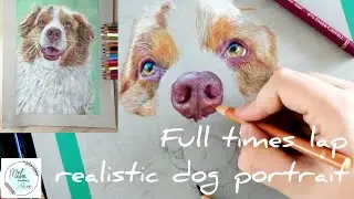 Full TIMES LAPSE Realistic Dog Portrait | Mila Lohmann Art 