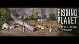 Играю в Fishing planet на серверах в Streamcraft был вайп и скоро начнём играть там