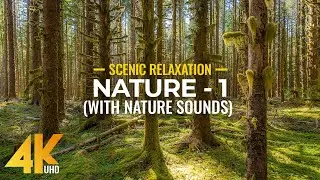 NATURE in 4K UHD - Nature Sounds & Amazing Nature Scenery from all over the World - Episode 1