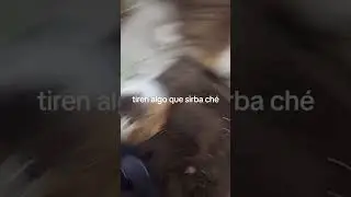 termotanque pinchado