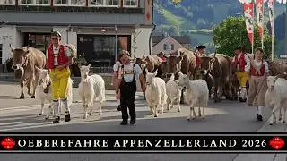 Öberefahre in Urnäsch – Alpaufzug im Appenzellerland | LuegemolTV