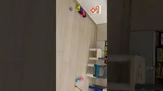 DIY 家庭高爾夫球，小鳥挑戰
