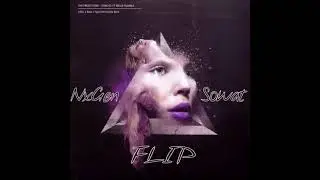 Freestylers ft. Humble - Cracks (Flux Pavilion Remix) (NxGen x Sowat Flip)