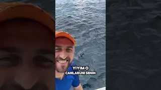 Misafirimi sevdiniz mi #keşfet #fishing