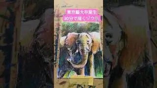 東京藝大卒業生が30分で描くゾウ🐘 #東京藝術大学 #東京藝大 #おすすめ #ゾウ