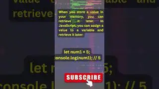 The Role of variables in both JavaScript and Human Brain | Video 2