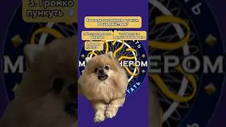 Ну почему это происходит только в такси?!?!! 