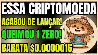 OLHO NESSA CRIPTOMOEDA QUE ACABOU DE LANÇAR E JÁ ELIMINOU UM ZERO! BARATA $0.0000016 - TANUKI COIN