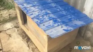 Конура для щенка своими руками.