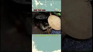 Làm Nước Mắm Rươi ở Bình Đại
