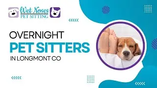 Overnight Pet Sitters in Longmont CO | (970) 980-1325
