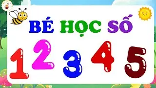 Dạy bé các số từ 1 đến 5 | Dạy bé tập nói | Dạy bé nói tiếng việt | Giáo dục cho bé | BEE KIDS TV