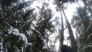 Сказочный новогодний зимний лес 7523г.