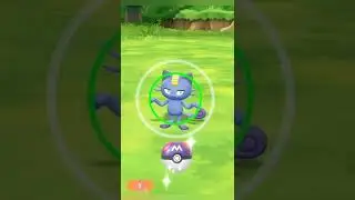Shiny Alolan Meowth! Pokémon Let's Go Pikachu!
