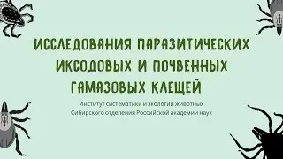 Исследования паразитических иксодовых и почвенных гамазовых клещей в ИСиЭЖ СО РАН