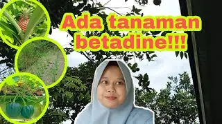 Ada tanaman apa aja sih disekitar rumah??🤔  #vlog part1