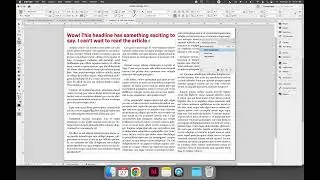 Applying a Paragraph Style in InDesign