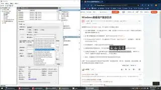 自家电脑中了blackbit病毒后3：一大堆登录失败记录-家(无声视频)