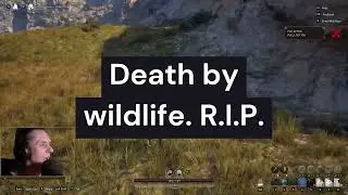 Pax Dei PVP - Death by Wildlife !!
