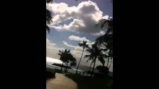Hawaii blogg