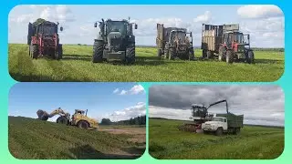 Заготовка сенажа или силоса? Трамбовка кургана.