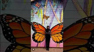 #monarchgrovesanctuary #pacificgrove