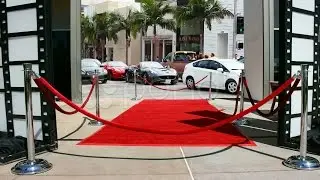 Red Carpet Event In Beverly Hills. Stock Footage