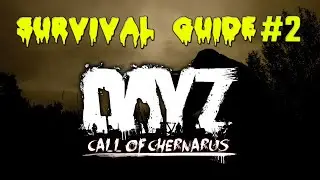 DayZ Standalone 1.07 | Call of Chernarus | guide #2