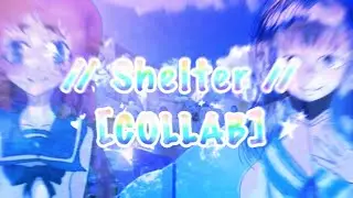 Meme _Shelter_ /collab/ (nagi no asukura)