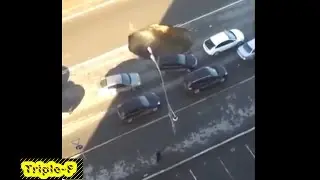 lucky guy big hole in the road