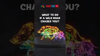 🐗 What to do if a boar chases you?