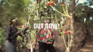 Out everywhere!!!!