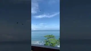 Macaws! #costarica #macaw #playablanca #puravida