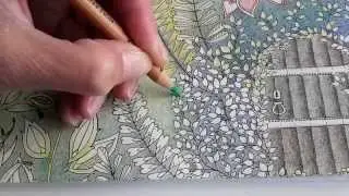 Secret Garden, The Morning Garden, building background.