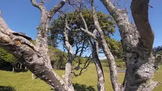 Fresh Gaps - FPV