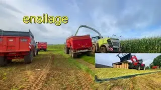 ENSILAGE DE MAÏS 2024