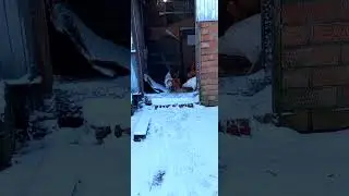 борьба набирает обороты
