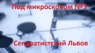Под микроскопом. День УПА во Львове и сепаратизм