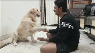 sijo ki hui tabiyat kharab