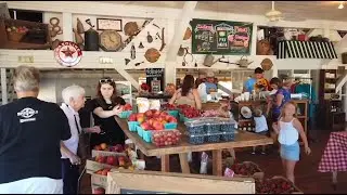 Unlocking Georgia's Agritourism Revolution