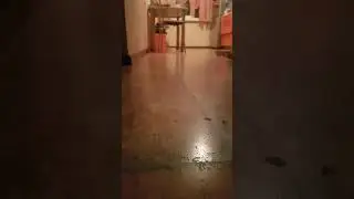 31 марта 2018 г.