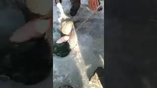 Fishing in ice rivers ICE!!